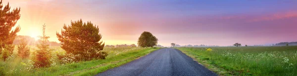 Asphalt Road Dramatic Sunset Countryside Summertime Panoramic View Natural Park — Stock fotografie