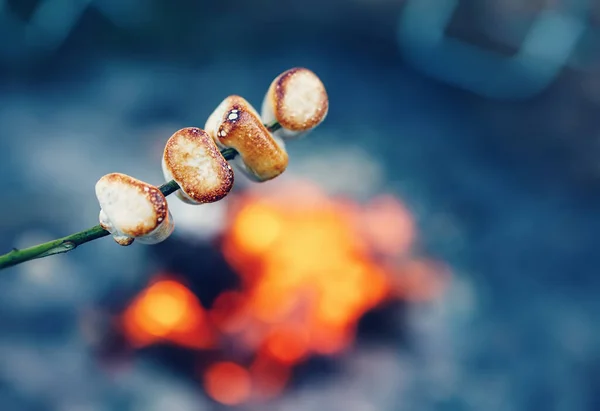 Closeup View Roasted Marshmallow Stick Fire Concept Scout Camping Family — Fotografia de Stock