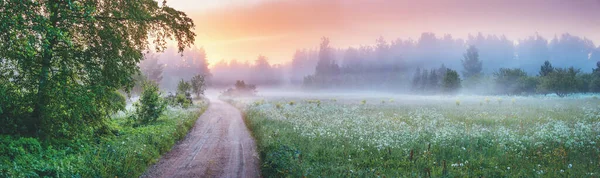 夏には自然公園で霧の国の砂利道 自然の中での朝のパノラマビュー — ストック写真