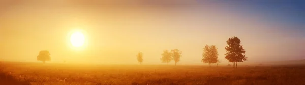 霧の朝のフィールド上の日の出 自然公園内の静かなシーン — ストック写真