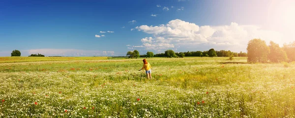 Woman Standing Field Lot Wild Flowers Touching Them Panoramic View — Stock Photo, Image
