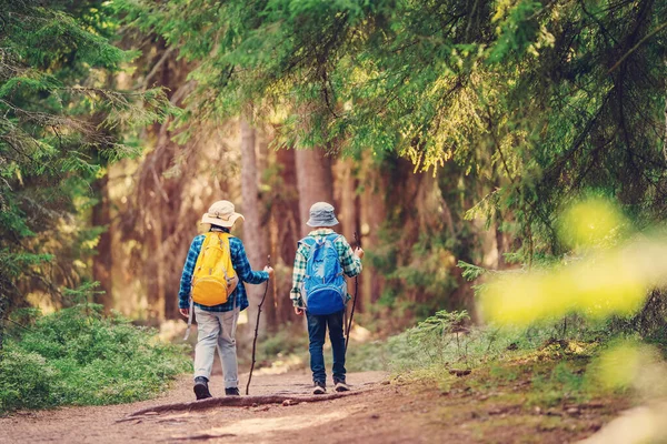 Два Мальчика Рюкзаками Гуляющие Вместе Диком Лесу Концепция Туризма Семейного — стоковое фото