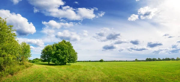 Beautiful panoramic background of the green field in natural park. Concept of the wallpaper and banner.