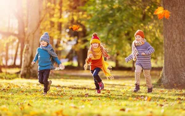 孩子们在秋天的自然公园里跑步和玩耍 友谊和家庭周末的概念 — 图库照片