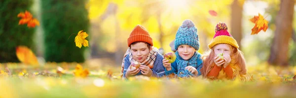 아이들은 공원에서 사과와 잔디에 파노라마 — 스톡 사진