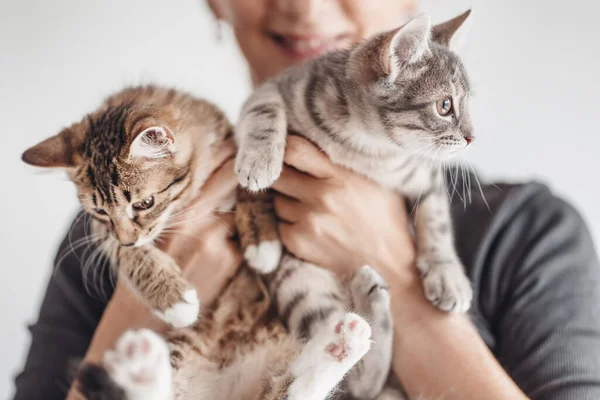 Frau Hält Zwei Hübsche Kätzchen Ihren Händen Konzept Der Liebe — Stockfoto