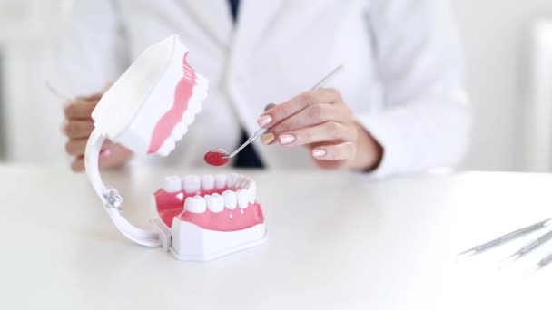 Tandläkare Undersöka Tänder Med Hjälp Exemplet Med Plast Modell Käkar — Stockvideo