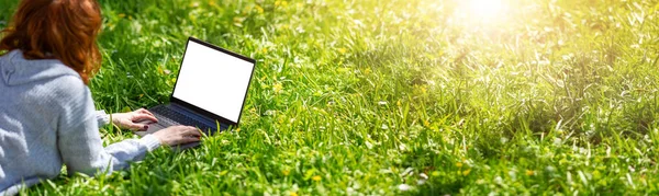 Жінка Лежить Ноутбуком Квітучому Лузі Природному Парку Панорамний Фон Ліцензійні Стокові Фото