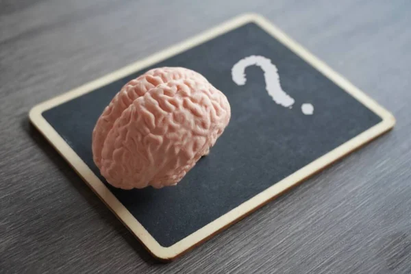 Human brain model on top of a blackboard with a question mark. Knowledge, critical thinking concept.
