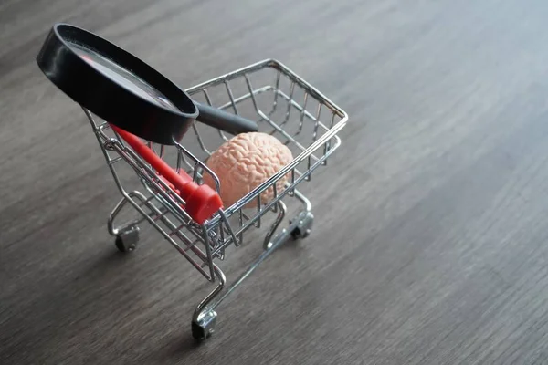 A human brain and magnifying glass inside shopping carts. Consumer behavior analysis and market research concept.
