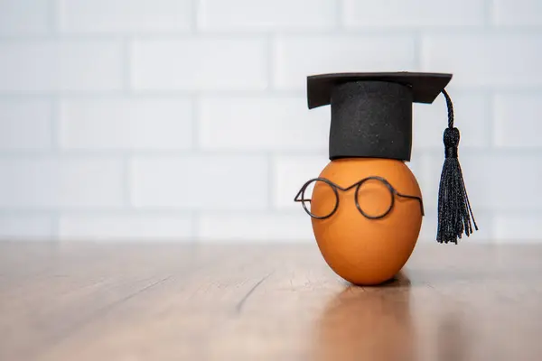 stock image A close-up image of a brown egg wearing a black graduation cap and glasses. Copy space for text. 