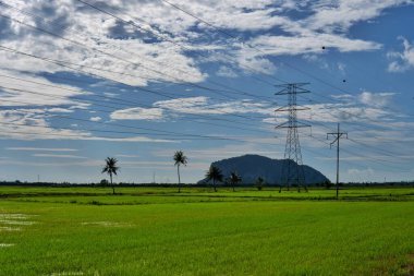 Yeşil alandan geçen yüksek voltajlı elektrik direkleri. Elektrik altyapı kavramı.