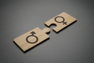 Üzerinde erkek sembolü ve kadın sembolü olan iki tahta yapboz parçası. İlişki uyumluluğu kavramı.