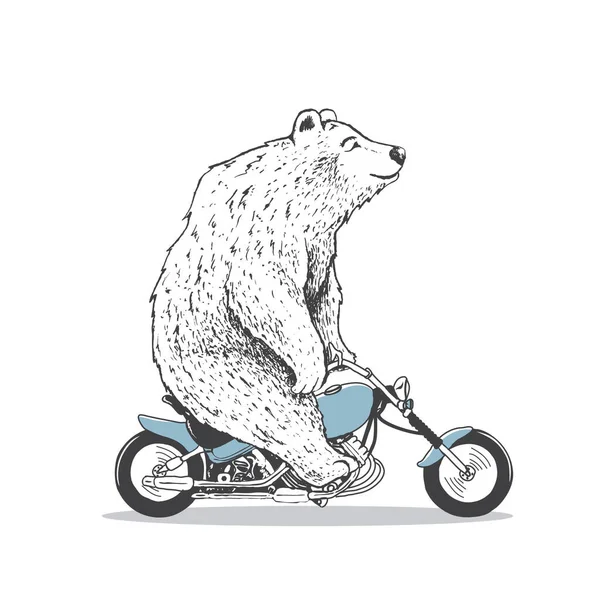 Urso Polar Está Montando Motocicleta Mão Desenhado Style Vector Ilustração —  Vetores de Stock