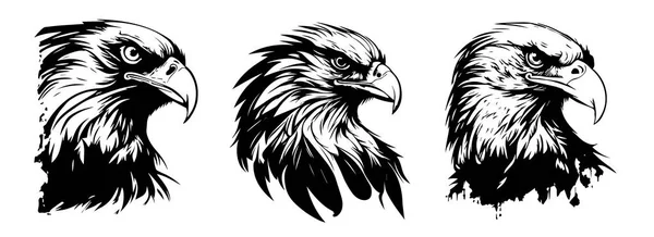 ワシの頭は黒と白のベクトル 鷲のイラストのシルエットSvg形 — ストックベクタ
