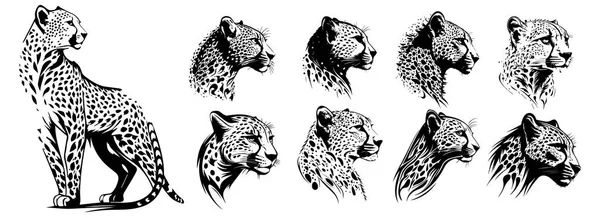 Gepardenköpfe Schwarz Und Weiß Vektor Silhouette Svg Formen Von Geparden — Stockvektor
