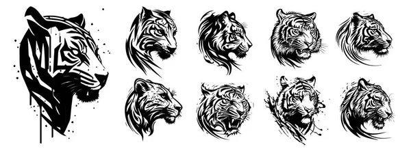 Silhouette Svg Shapes Tigers Illustration — Stock Vector