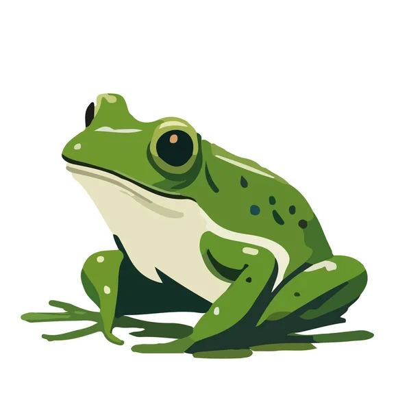 Frosch Amphibie Tier Tierwelt Reptil Grün Kröte Illustration — Stockvektor