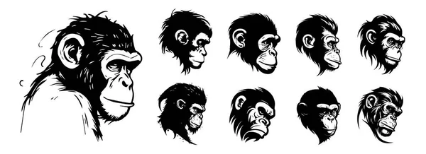 Opičí Hlavy Vektorové Ilustrace Siluety Tvary — Stockový vektor