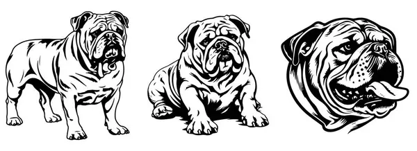 Evcil Köpek Siyah Beyaz Vektör Siluet Şekilli Çizimler Telifsiz Stok Illüstrasyonlar