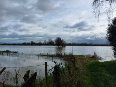 Hollanda 'da yüksek su