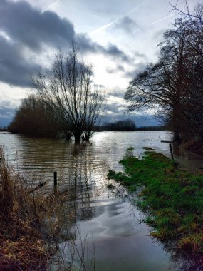 Hollanda 'da yüksek su