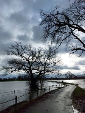 Hollanda 'da yüksek su