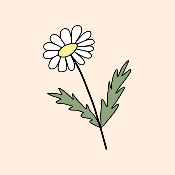 Χαμομήλι Μαργαρίτα Λουλούδι Doodle Στυλ Επίπεδη Διανυσματική Απεικόνιση — Διανυσματικό Αρχείο