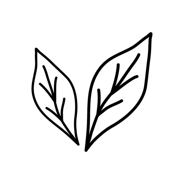 Δύο Φύλλα Οικολογία Φυσικό Στοιχείο Doodle Στυλ Επίπεδη Διανυσματική Απεικόνιση — Διανυσματικό Αρχείο