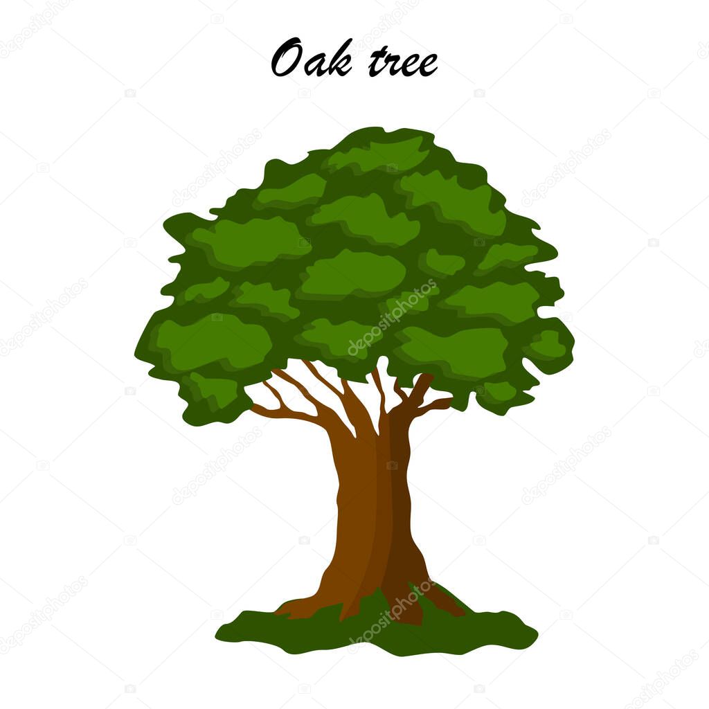 One Oak tree icon closeup, flat style vector illustration