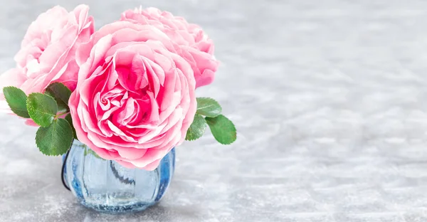 Рожеві Троянди Вазі Сірому Фоні Горизонтальні Копіювати Простір — стокове фото
