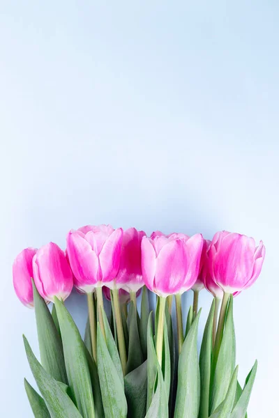 Hermosos Tulipanes Rosados Sobre Fondo Azul Tarjeta Felicitación Para Día — Foto de Stock
