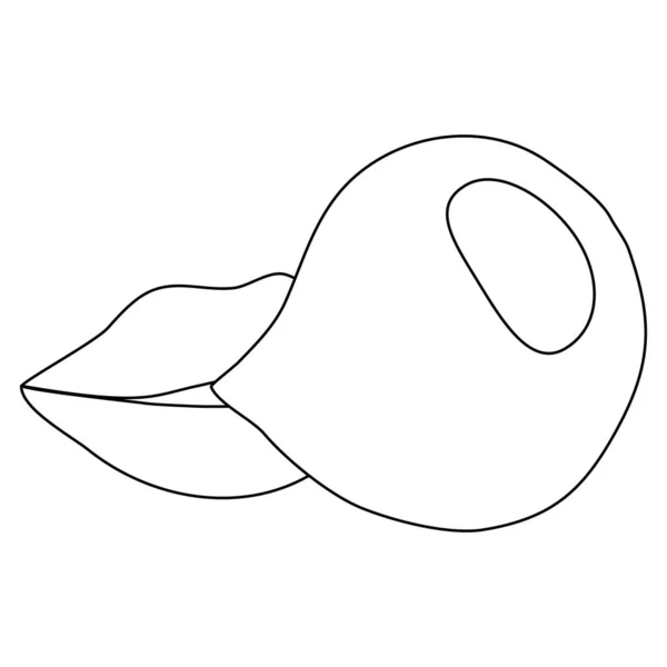 Lábios Mulher Soprando Chiclete Estilo Doodle Plano Vetor Esboço Ilustração —  Vetores de Stock