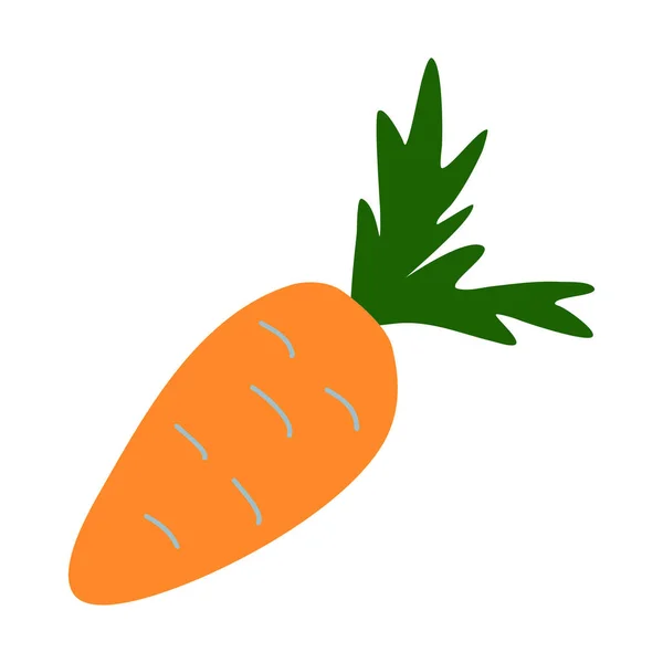 Zanahoria Crujiente Fresca Con Hojas Ilustración Vectorial Estilo Garabato — Vector de stock