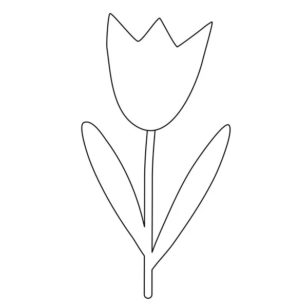 Prosty Kwiat Tulipan Element Projektu Wiosna Styl Doodle Płaski Wektor — Wektor stockowy