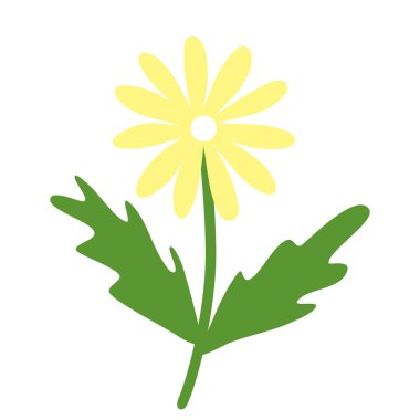 Papatya veya papatya çiçeği, doodle style düz vektör çizimi