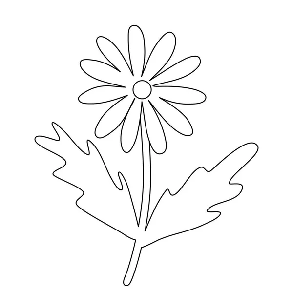 Chamomile Daisy Flower Doodle Style Flat Vector Outline Illustration Kids — Stock Vector