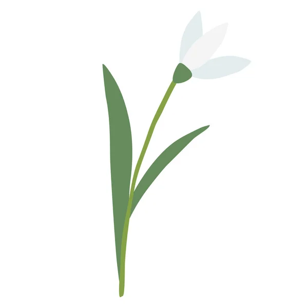 Ανύψωση Λουλούδι Άνοιξη Πτώση Χιονιού Απομονώνονται Λευκό Φόντο Διανυσματική Απεικόνιση — Διανυσματικό Αρχείο