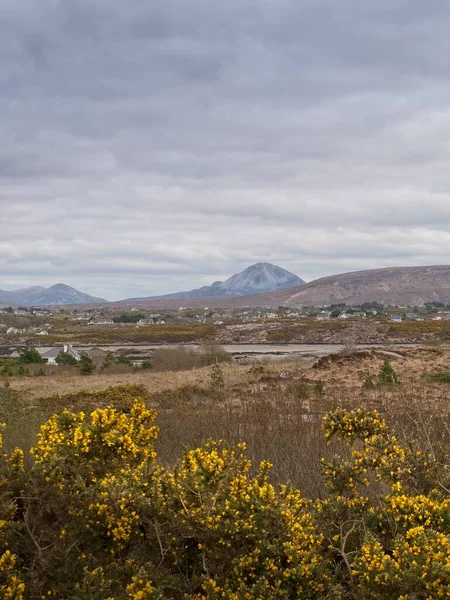 Landlig Udsigt Med Mark Blomster Huse Mount Errigal Grevskabet Donegal - Stock-foto