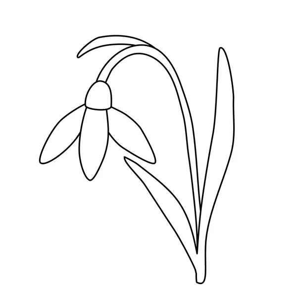 Schiefe Schneeglöckchen Frühlingsblume Offene Knospe Doodle Stil Flache Vektor Umriss — Stockvektor