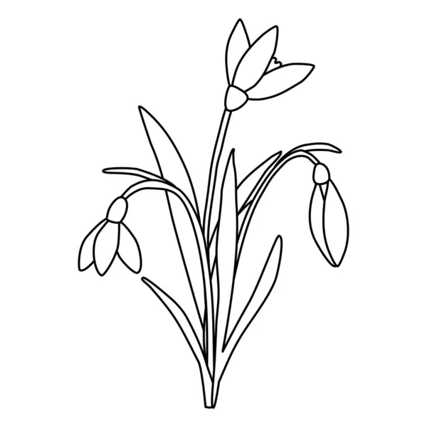 Ramo Flores Primavera Gotas Nieve Ilustración Contorno Vector Plano Estilo — Vector de stock