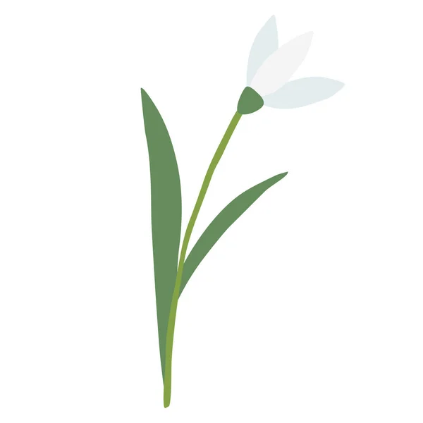 Criar Flor Primavera Gota Nieve Aislado Sobre Fondo Blanco Ilustración — Vector de stock