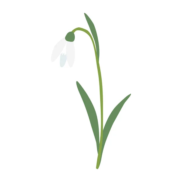Flor Primavera Nevada Inclinada Aislada Sobre Fondo Blanco Ilustración Vectorial — Vector de stock