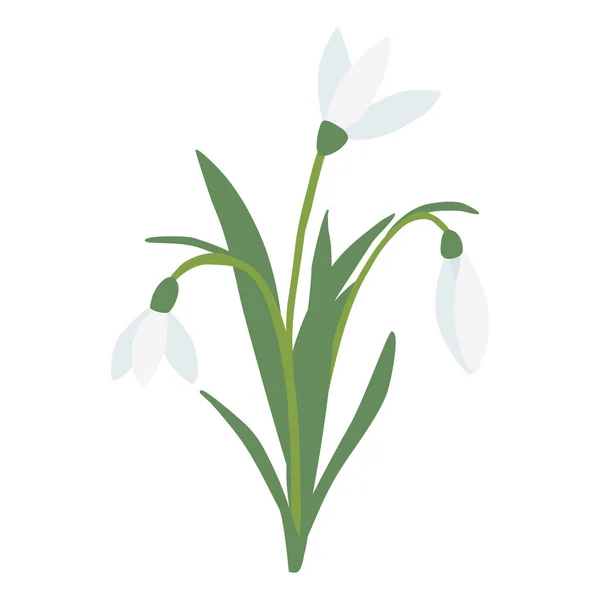 Ramo Flores Primavera Gotas Nieve Aislado Sobre Fondo Blanco Ilustración — Vector de stock