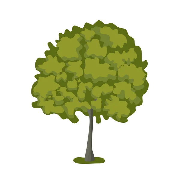 Drzewo Lipy Bujną Koroną Płaski Styl Wektor Ilustracja — Wektor stockowy