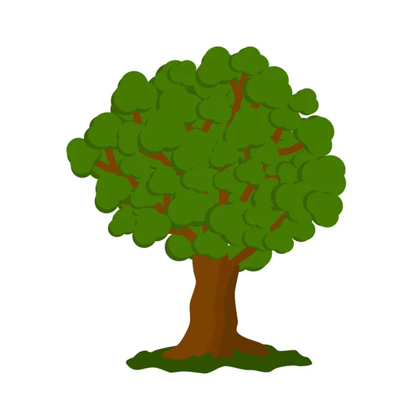 橡树树图标特写 平面样式矢量插图 — 图库矢量图片