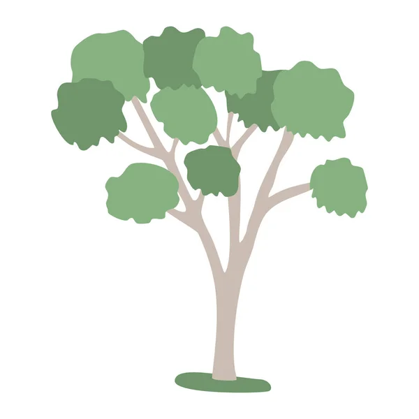 Eucalyptus Avec Couronne Luxuriante Illustration Vectorielle Style Plat — Image vectorielle