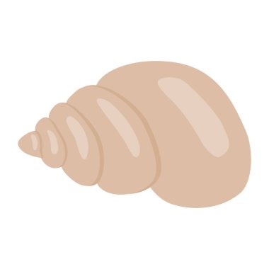 Genel deniz kabuğu, yaz tasarım elementi düz vektör illüstrasyonu