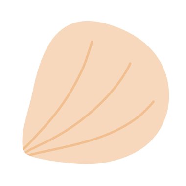 Sarı midye ya da deniz kabuğu, düz vektör çizimi