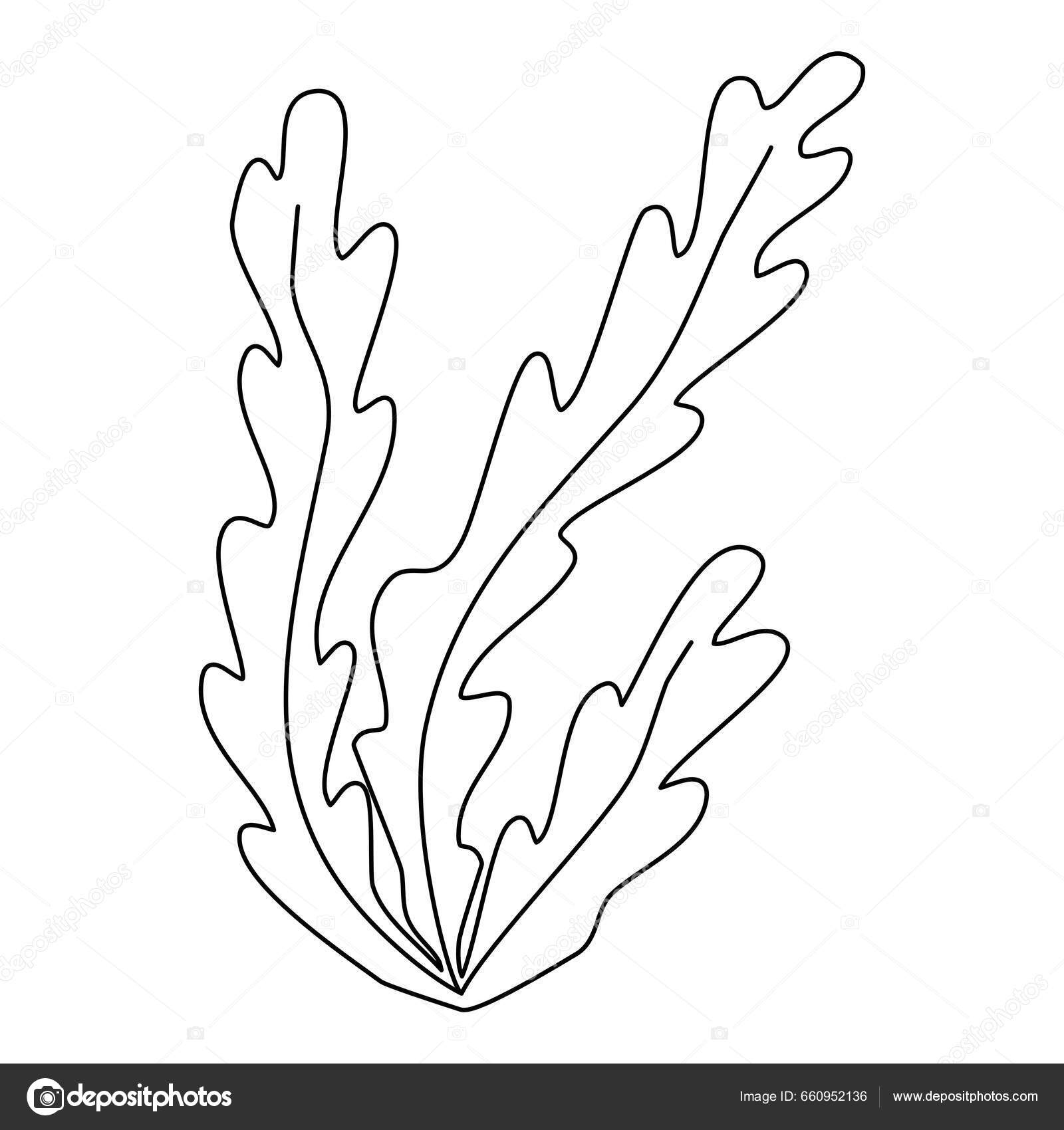 Sea Aquarium Water Plant Seaweed Underwater Planting Doodle Style Flat
